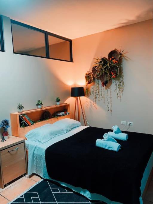 טיראנה City Central Amazona Appartment מראה חיצוני תמונה