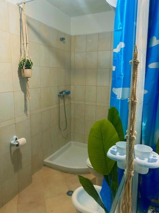 טיראנה City Central Amazona Appartment מראה חיצוני תמונה