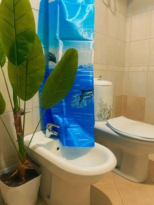 טיראנה City Central Amazona Appartment מראה חיצוני תמונה