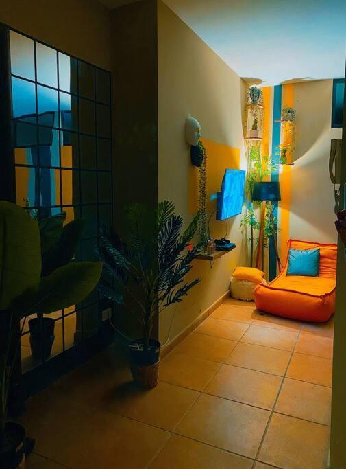 טיראנה City Central Amazona Appartment מראה חיצוני תמונה